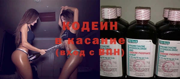 индика Баксан