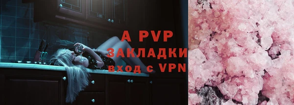 индика Балахна