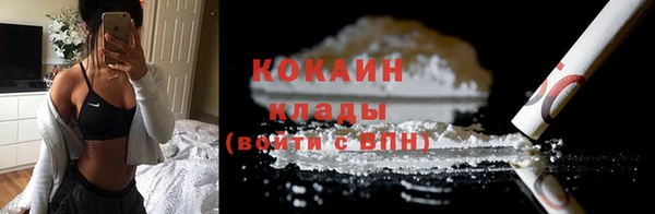 индика Баксан