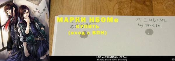 индика Балахна