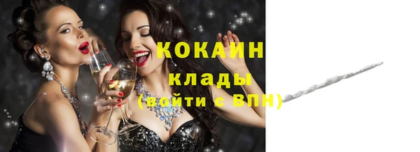 индика Баксан