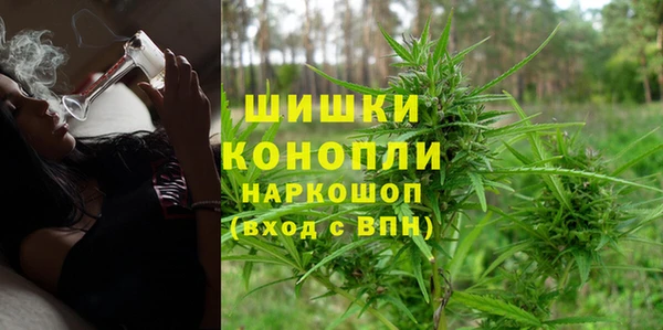 индика Баксан