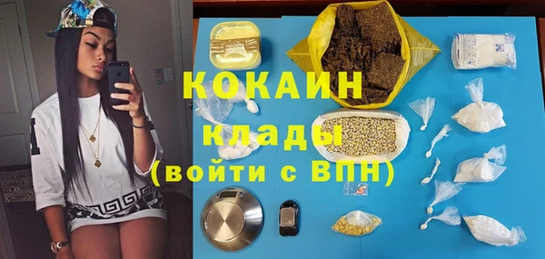 индика Балахна