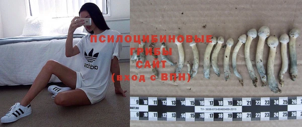 индика Баксан