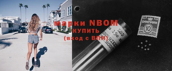 индика Баксан