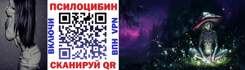 Псилоцибиновые грибы Psilocybine cubensis  купить наркоту  Вяземский 
